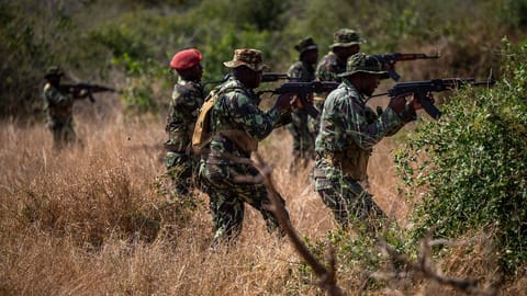The Islamic State in Mozambique is Evolving