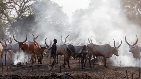 Violence is Exploding in South Sudan. And More.