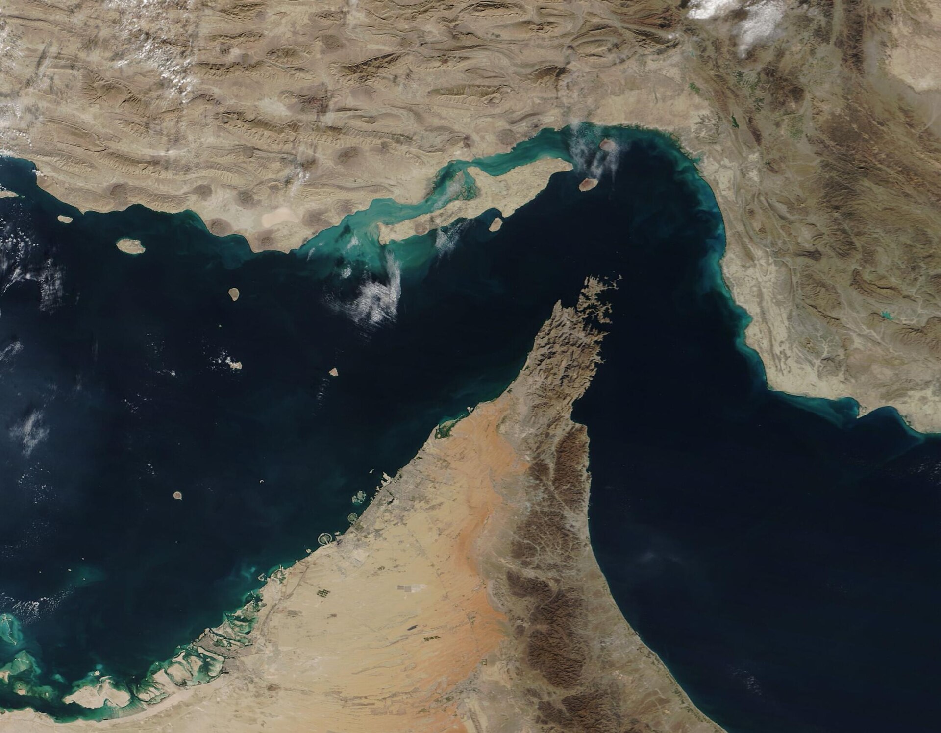 How Risk, Not Violence, Closed the Strait of Hormuz.