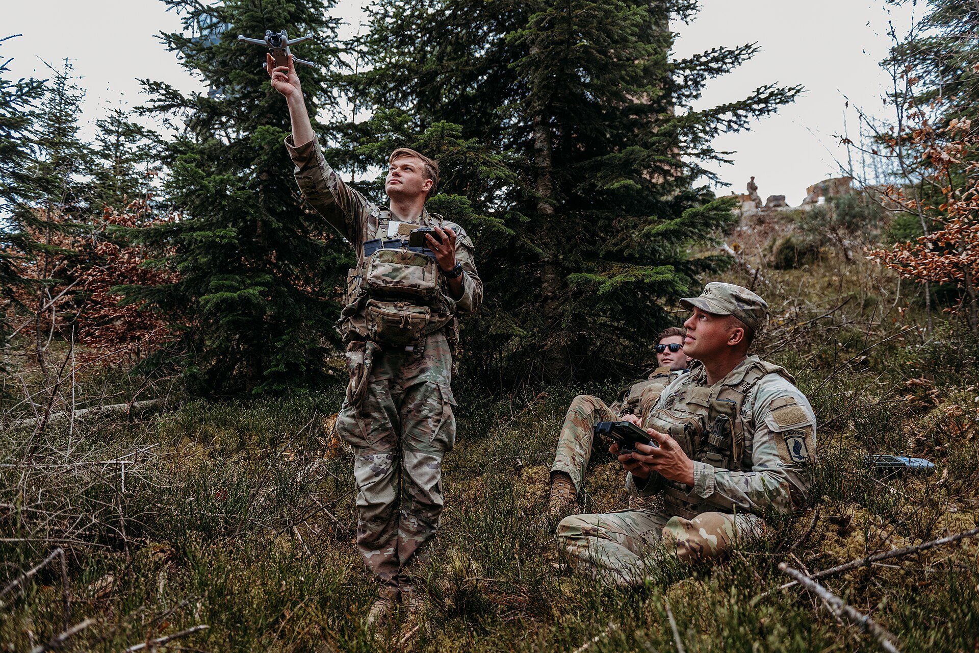 Ukraine's Digital Defense